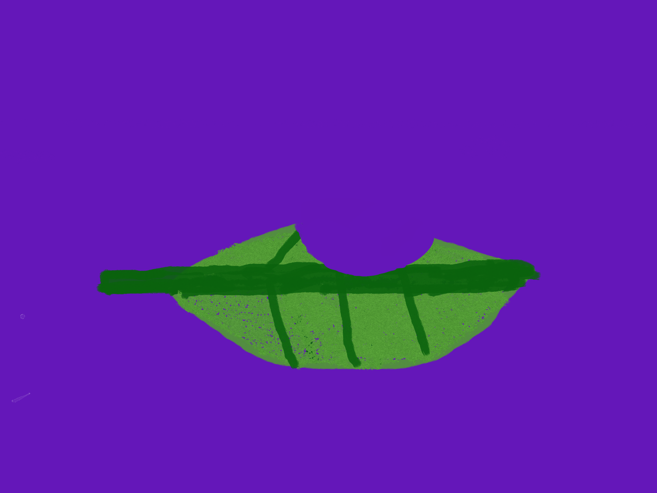 Leaf